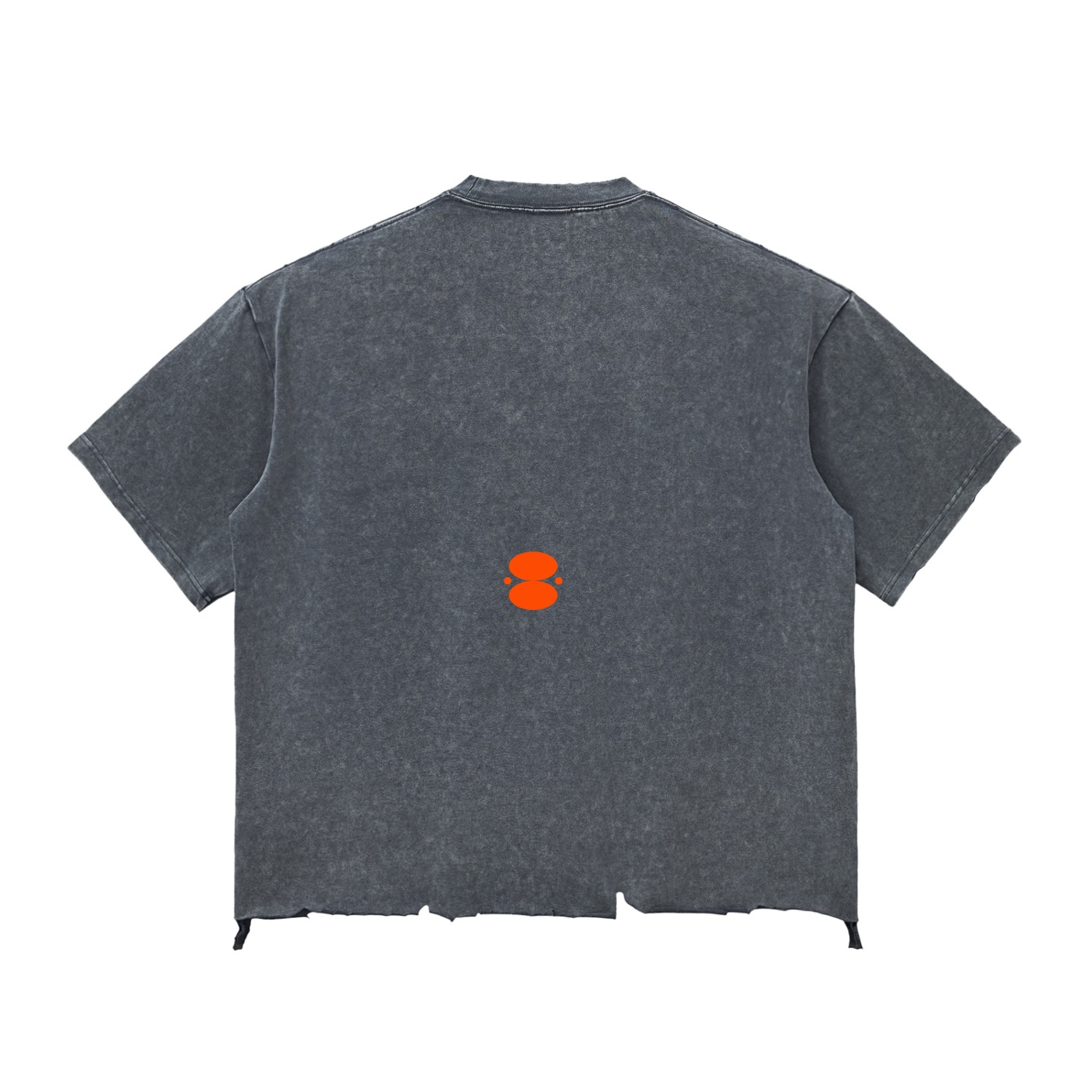 Snow Wash Crudo Back Logo — view 6