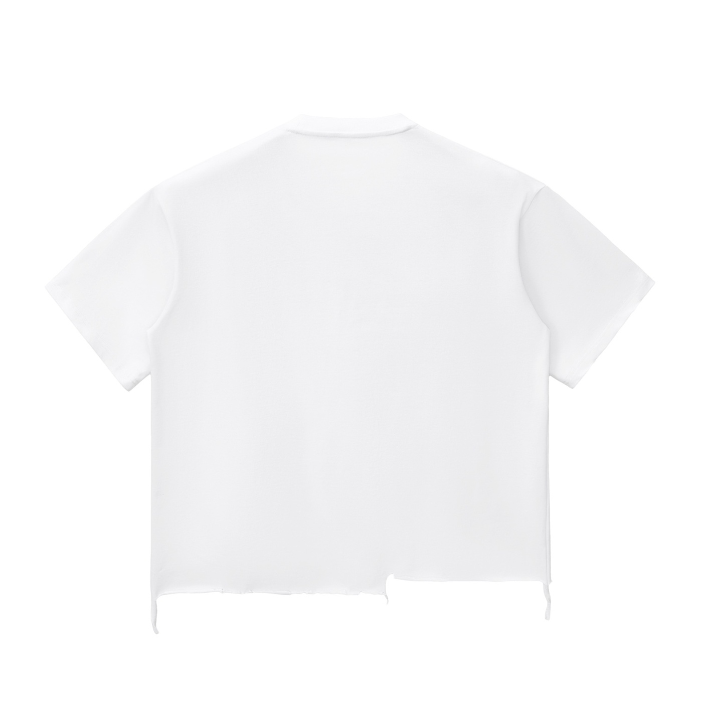 Snow Wash Crudo Logo — view 4